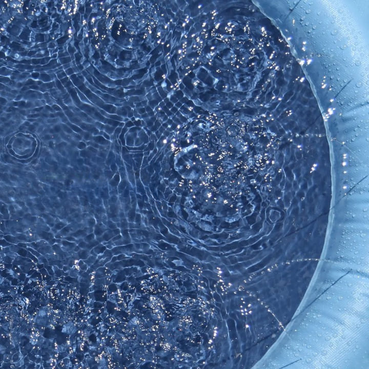 PetLovy™ - Tappeto Acquatico