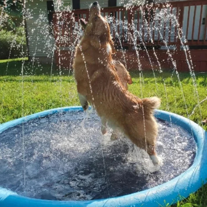 PetLovy™ - Tappeto Acquatico