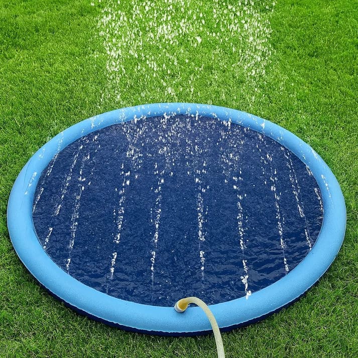 PetLovy™ - Tappeto Acquatico